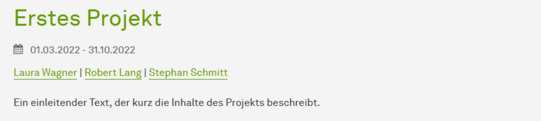 Screenshot eines erzeugten Kopfbereichs für Projektdetailseite